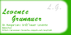 levente grunauer business card